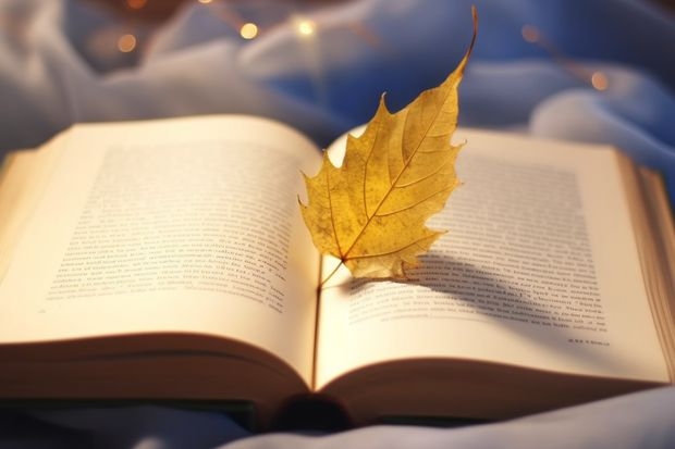湖南师范大学最低多少分能录取 湖南历年录取分数线