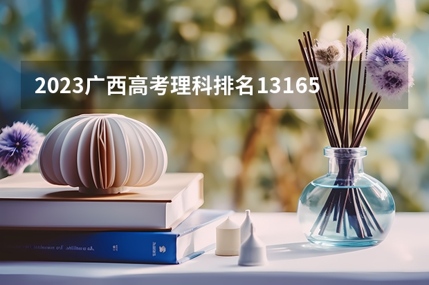 2023广西高考理科排名13165的考生报什么大学