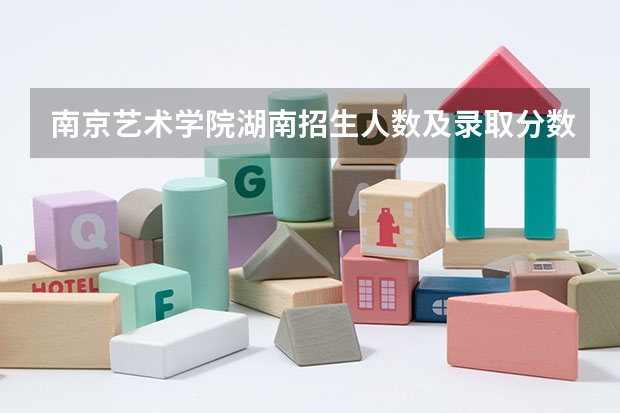 南京艺术学院湖南招生人数及录取分数线