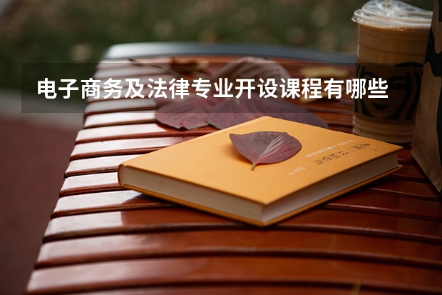 电子商务及法律专业开设课程有哪些 考研方向是什么