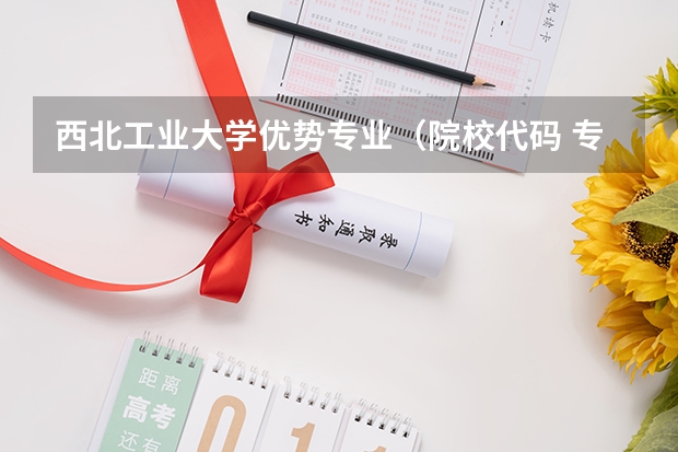西北工业大学优势专业(院校代码 专业代码 急求)