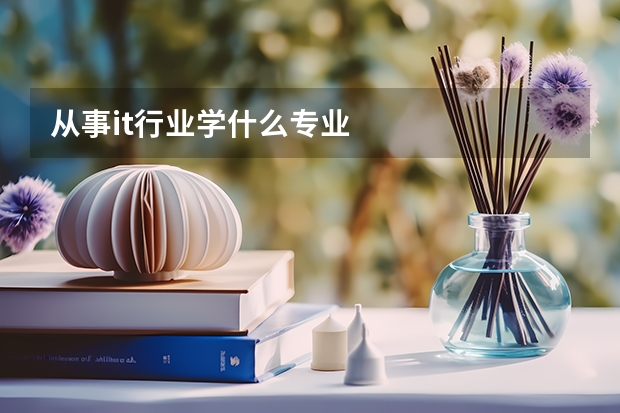 从事it行业学什么专业