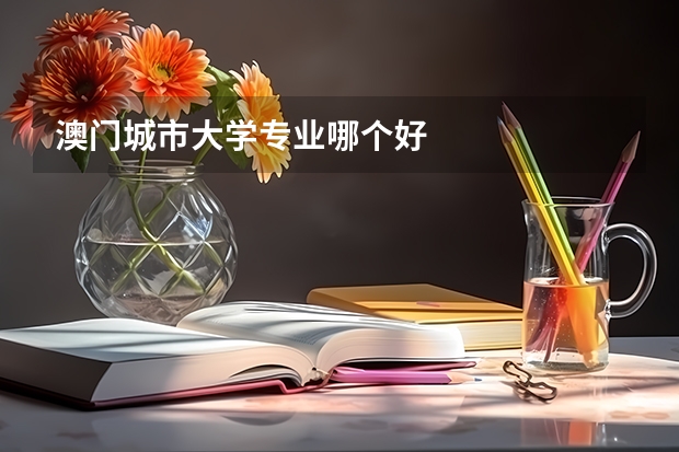 澳门城市大学专业哪个好