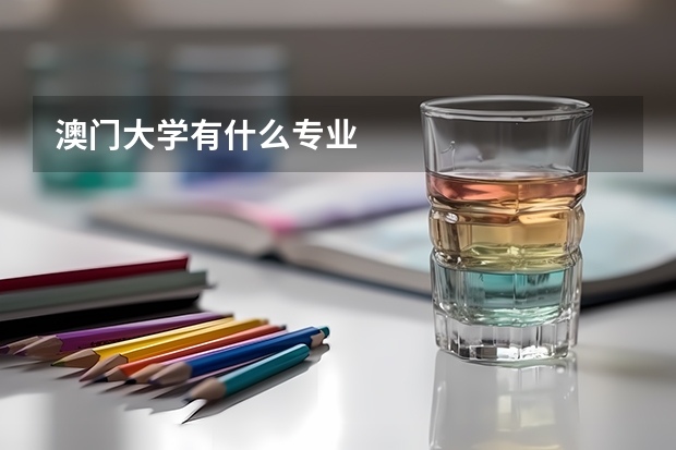 澳门大学有什么专业