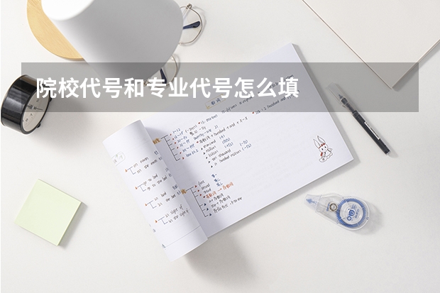 院校代号和专业代号怎么填