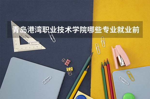 青岛港湾职业技术学院哪些专业就业前景好？