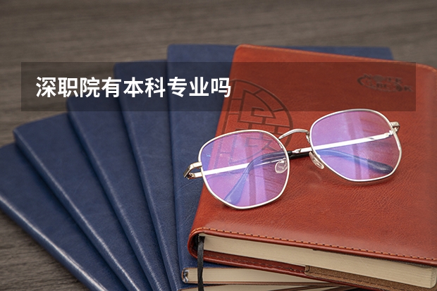 深职院有本科专业吗