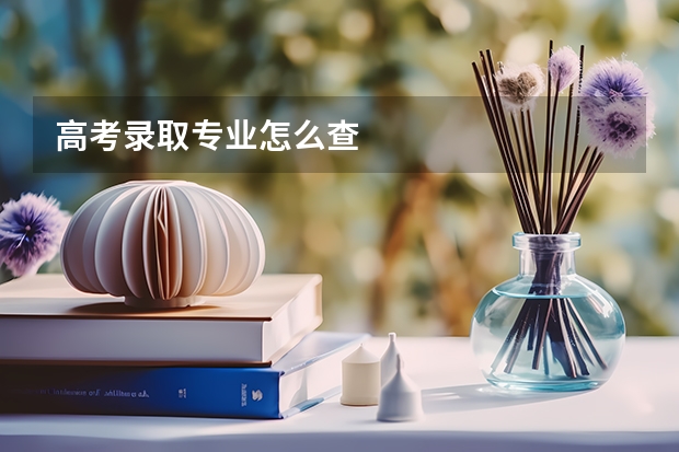 高考录取专业怎么查