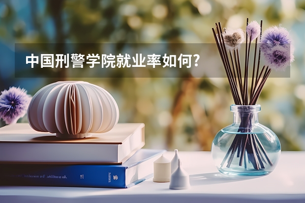 中国刑警学院就业率如何?