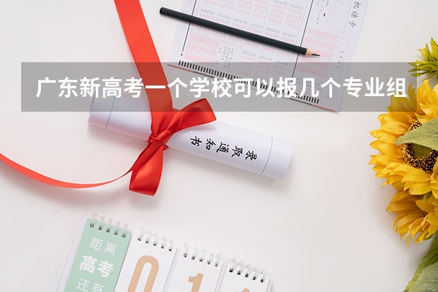 广东新高考一个学校可以报几个专业组（2023广东历史类招生人数）