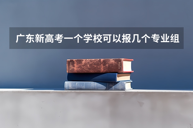 广东新高考一个学校可以报几个专业组 广东高考分科模式