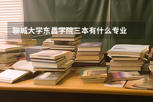 聊城大学东昌学院三本有什么专业