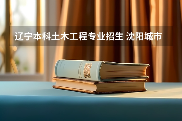 辽宁本科土木工程专业招生 沈阳城市建设学院招生简章