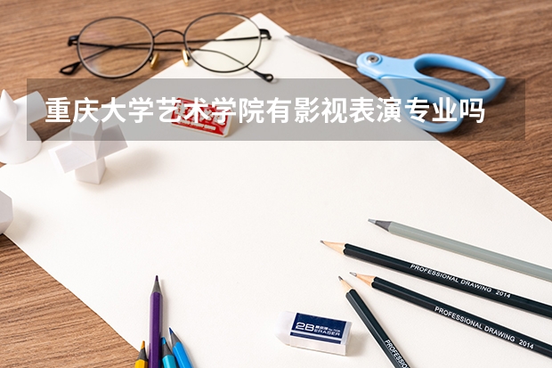 重庆大学艺术学院有影视表演专业吗