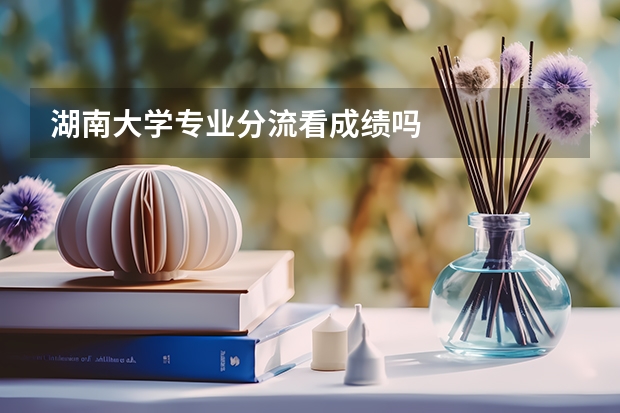 湖南大学专业分流看成绩吗