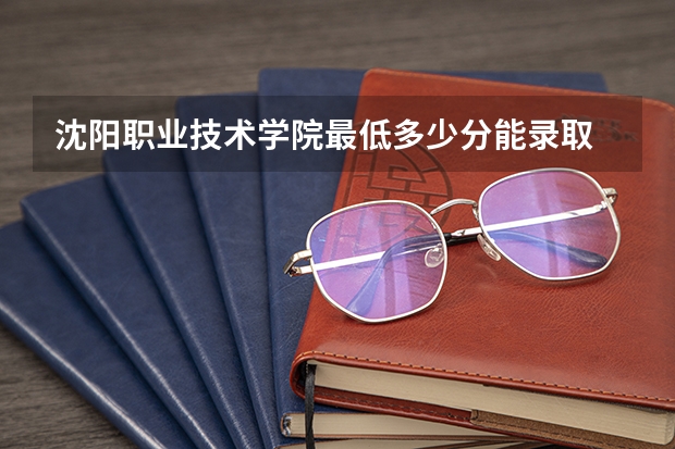 沈阳职业技术学院最低多少分能录取 辽宁历年录取分数线
