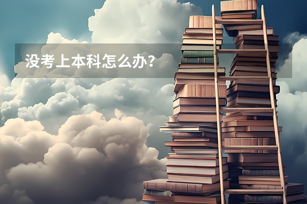 没考上本科怎么办?