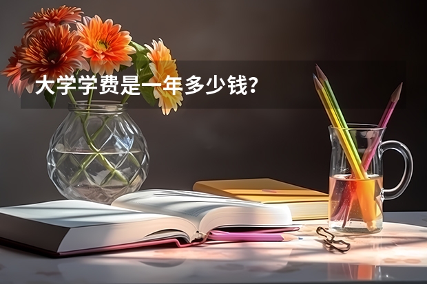 大学学费是一年多少钱?