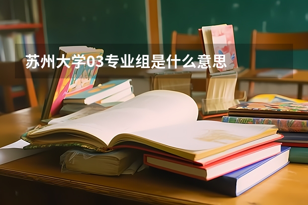 苏州大学03专业组是什么意思