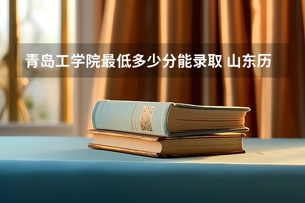 青岛工学院最低多少分能录取 山东历年录取分数线