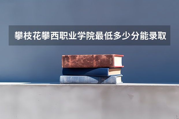 攀枝花攀西职业学院最低多少分能录取 四川历年录取分数线