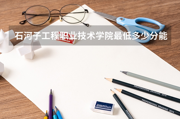 石河子工程职业技术学院最低多少分能录取 新疆历年录取分数线
