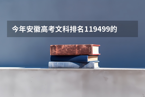 今年安徽高考文科排名119499的考生报什么大学