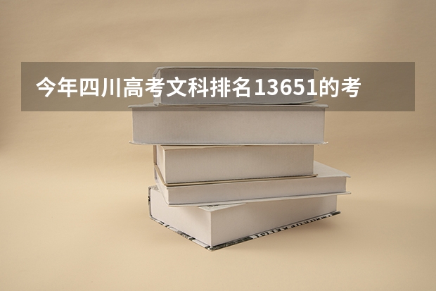 今年四川高考文科排名13651的考生报什么大学