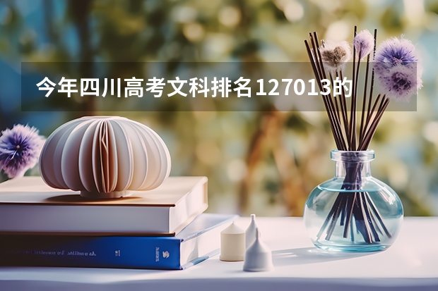 今年四川高考文科排名127013的考生报什么大学
