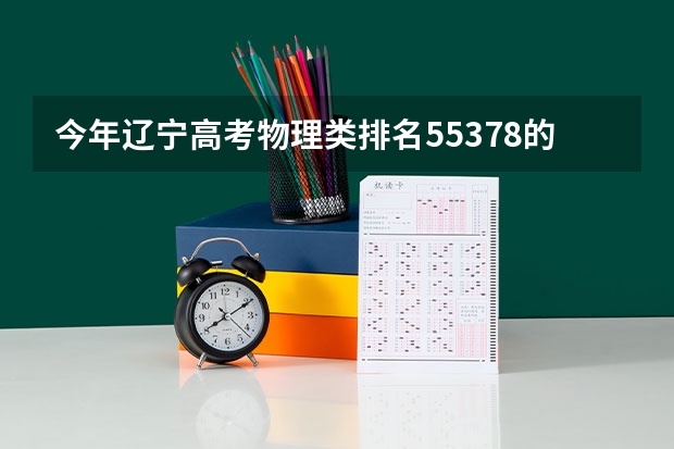 今年辽宁高考物理类排名55378的考生报什么大学