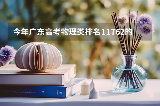 今年广东高考物理类排名11762的考生报什么大学