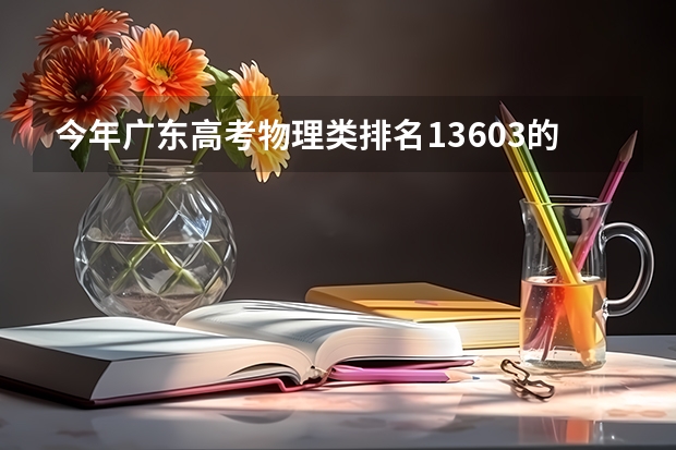 今年广东高考物理类排名13603的考生报什么大学