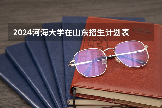 2024河海大学在山东招生计划表