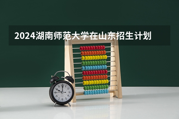 2024湖南师范大学在山东招生计划表
