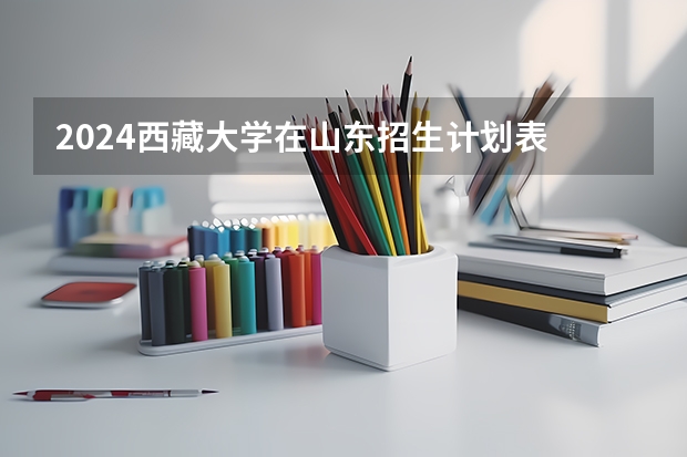 2024西藏大学在山东招生计划表