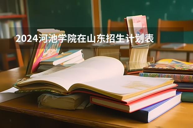 2024河池学院在山东招生计划表