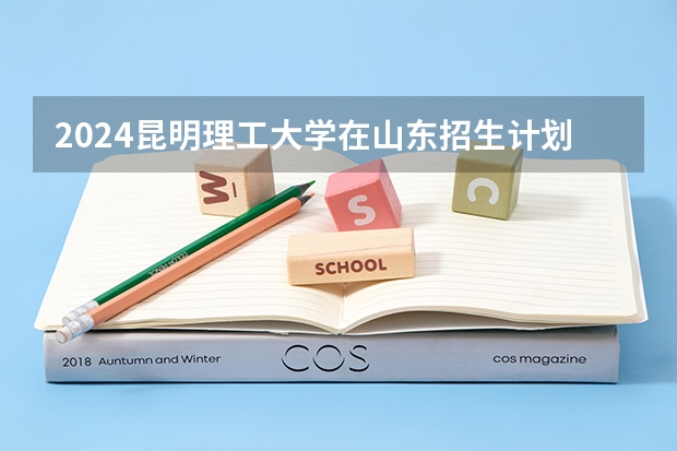 2024昆明理工大学在山东招生计划表