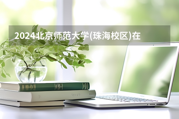 2024北京师范大学(珠海校区)在山东招生计划表