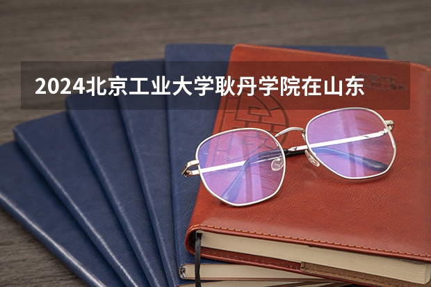 2024北京工业大学耿丹学院在山东招生计划表