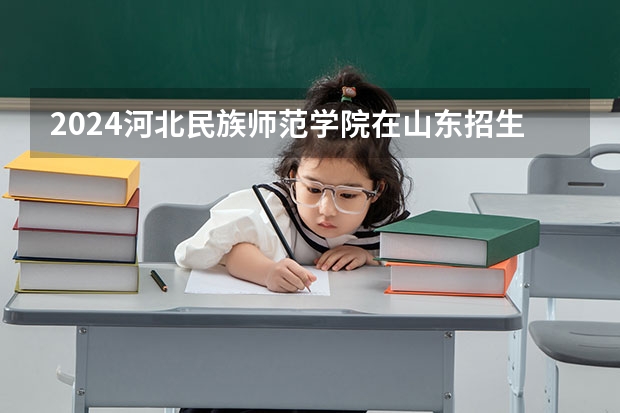 2024河北民族师范学院在山东招生计划表