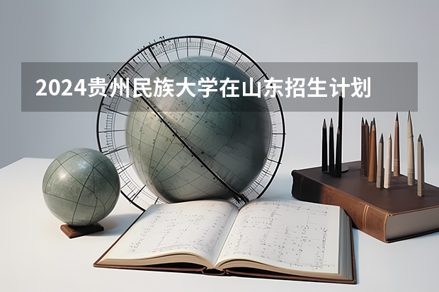 2024贵州民族大学在山东招生计划表