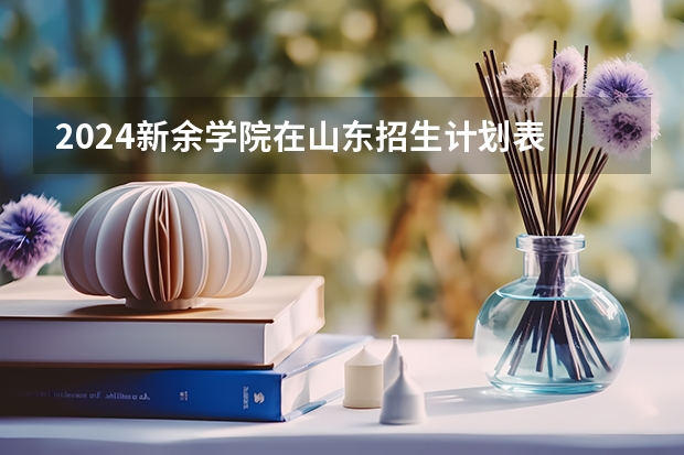 2024新余学院在山东招生计划表