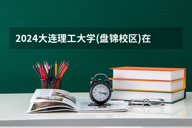 2024大连理工大学(盘锦校区)在吉林招生计划表