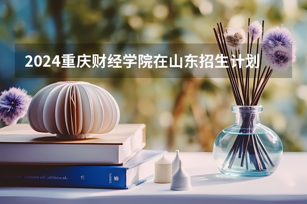 2024重庆财经学院在山东招生计划表