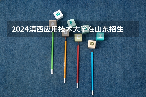 2024滇西应用技术大学在山东招生计划表