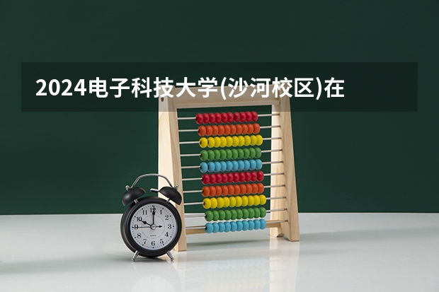 2024电子科技大学(沙河校区)在山东招生计划表