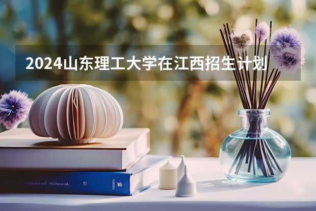 2024山东理工大学在江西招生计划表