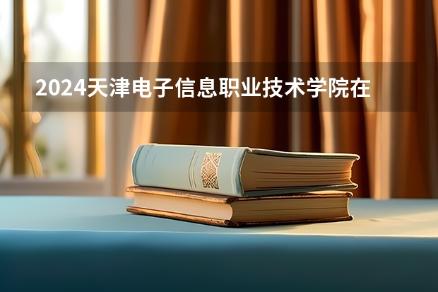 2024天津电子信息职业技术学院在江西招生计划表