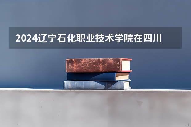 2024辽宁石化职业技术学院在四川招生计划表