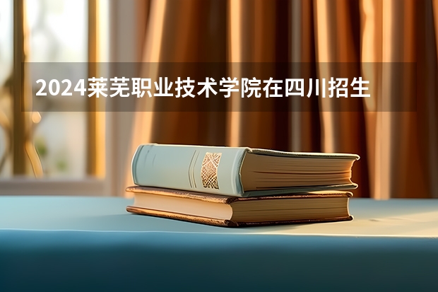 2024莱芜职业技术学院在四川招生计划表